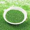 MIYUKI Round Rocailles Beads SEED-G007-RR2423-2