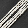 Natural White Shell Beads Strands SHEL-G014-14-2