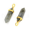 Natural Labradorite Pointed Pendants G-G902-A11-2