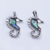 Abalone Shell/Paua Shell Pendants SSHEL-L008-05P-2