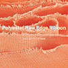 10M Polyester Frayed Ribbon OCOR-WH0094-01C-4