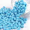 6/0 Glass Seed Beads SEED-US0003-4mm-43-1