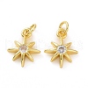 Brass Cubic Zirconia Charms KK-E068-VF039-2