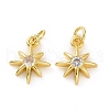 Brass Cubic Zirconia Charms KK-E068-VF039-2