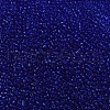 Glass Seed Beads SEED-A004-2mm-8-3