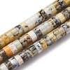 Natural Yellow Opal Beads Strands G-Z006-C41-2