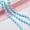 Faceted Glass Beads Strands GLAA-E037-01G-4