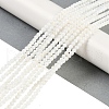 Natural Cultured Freshwater Shell Beads Strands BSHE-H109-03A-2