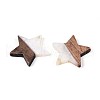 Resin & Walnut Wood Pendants RESI-T057-37M-3