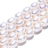 Natural Cultured Freshwater Pearl Beads Strands PEAR-N012-08D-3
