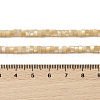 Natural Trochid Shell/Trochus Shell Beads Strands BSHE-H018-02-4