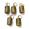 Natural Unakite Column Charms with 304 Stainless Steel Jump Rings G-Q032-01B-1
