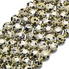 Natural Dalmatian Jasper Beads Strands G-C116-A31-02-2