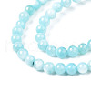 Natural Freshwater Shell Beads Strands BSHE-T009A-01E-2