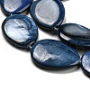Dyed Natural Freshwater Shell Beads Strands BSHE-G034-24-4