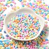 Baking Paint Glass Seed Beads X1-SEED-B001-02A-10-2