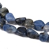 Natural Kyanite Beads Strands G-Q060-E17-4