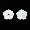 Natural White Shell Mother of Pearl Shell Beads SSHEL-T014-42B-3