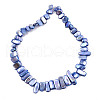 Natural Freshwater Shell Beads Strands X-SHEL-N026-123G-3