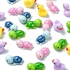 25Pcs 5 Styles Mini Tortoise & Duck Resin Display Decorations RESI-YW0001-61-4