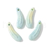 Natural Rainbow Alashan Agate Pendants G-G194-04E-1