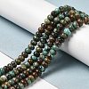 Natural Turquoise Beads Strands G-P506-03C-04-4