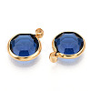 K9 Glass Charms X1-GLAA-T023-37A-07-2