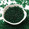 Transparent Colours Glass Seed Beads X1-SEED-P006-02A-09-2