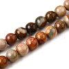 Natural Picture Jasper Beads Strands G-S390-07-6mm-2