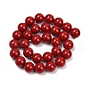 Shell Pearl Beads Strands BSHE-K015-14mm-01-2
