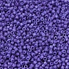 MIYUKI Delica Beads SEED-J020-DB2359-3