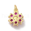 Rack Plating Brass Micro Pave Cubic Zirconia Charms KK-A160-22E-G-2