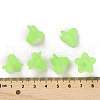 Transparent Acrylic Beads PLF018-05-4