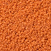 MIYUKI Round Rocailles Beads X-SEED-G007-RR2313-3