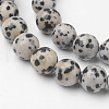 Natural Dalmatian Jasper Bead Strands G-G735-68-8mm-3