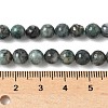 Natural Dioptase Beads Strands G-D302-02-6mm-5