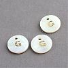 Freshwater Shell Pendants SSHEL-S249-G-1