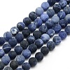 Frosted Natural Sodalite Round Bead Strands G-M064-4mm-01-1