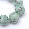 Natural Sesame Jasper/Kiwi Jasper Bead Strands G-R345-10mm-12-4