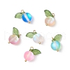 Dyed Frosted Synthetic Moonstone Round Charms PALLOY-TA00253-1