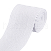 Polyester Herringbone Ribbon OCOR-WH0101-21B-1