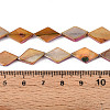 Dyed Natural Freshwater Shell Beads Strands SHEL-T020-13B-4