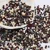 Baking Paint Glass Seed Beads SEED-S042-05B-55-1