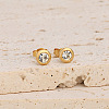 Flat Round 304 Stainless Steel Pave Clear Cubic Zirconia Stud Earrings FS-WG23E56-03-1