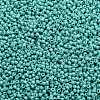 TOHO Round Seed Beads SEED-XTR11-0413-2