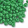 Baking Paint Glass Seed Beads SEED-Q025-3mm-L02-2