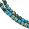 Dyed Natural Regalite/Imperial Jasper/Sea Sediment Jasper Beads Strands G-B124-C04-10-2