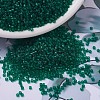 MIYUKI Delica Beads SEED-X0054-DB0776-1