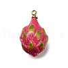 Brass Acrylic Pendants OACR-R006-04G-03-1