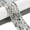 Natural Sesame Jasper Beads Strands G-M403-A40-01-2